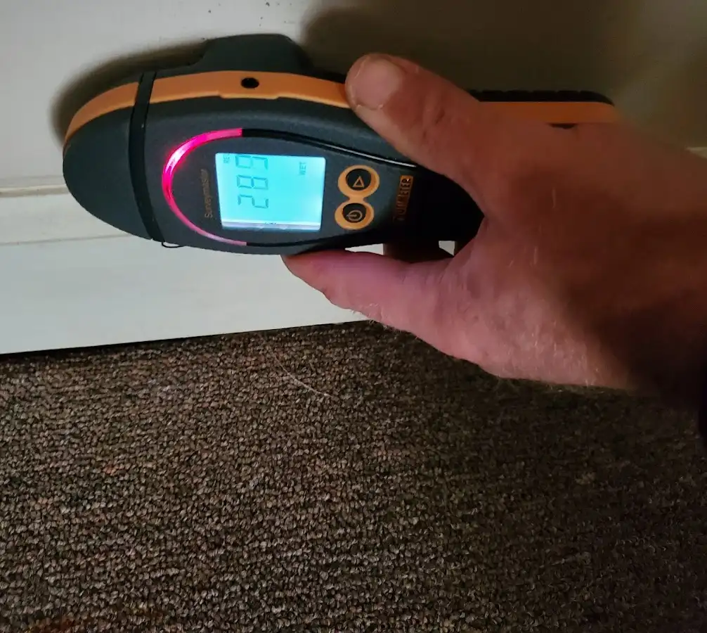 Moisture detection at baseboard during Sewage Cleanup & Sanitation in Poughkeepsie